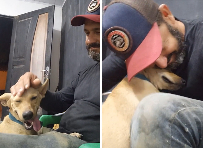 This Man Rescues Dogs In His Area And Decided To Build A Pool For The 27 He Has In His Care