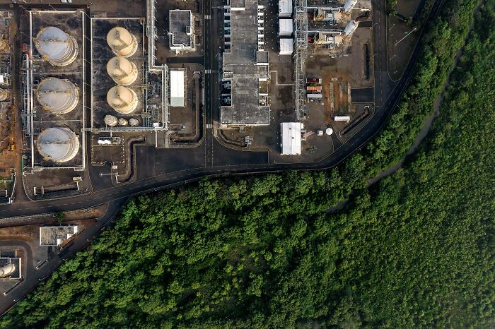 Mangrove Action Awards Black Dawn