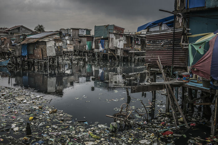 Mangrove Action Awards Pollution
