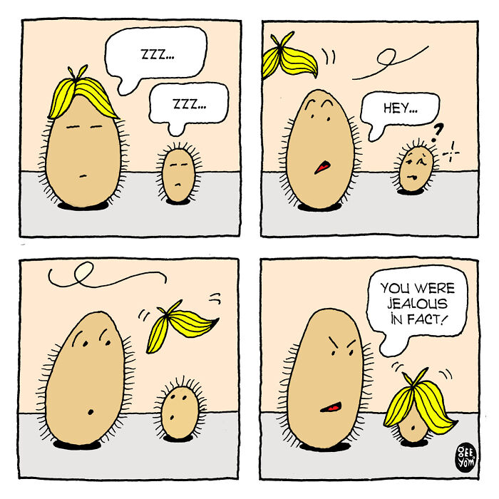 Inspired By Quirky Life Events, I Created The &ldquo;2 Hairy Potatoes&rdquo; Comic Series
