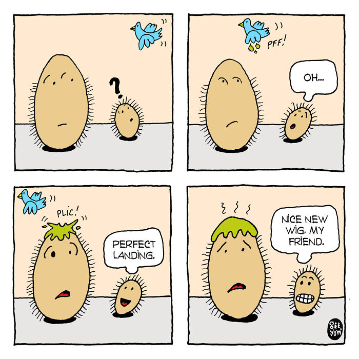 Inspired By Quirky Life Events, I Created The &ldquo;2 Hairy Potatoes&rdquo; Comic Series