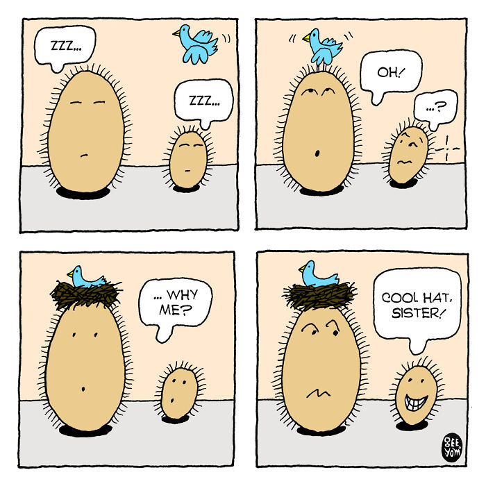 Inspired By Quirky Life Events, I Created The &ldquo;2 Hairy Potatoes&rdquo; Comic Series