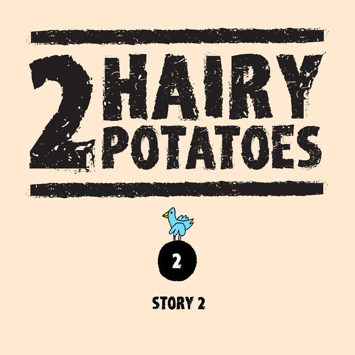 Inspired By Quirky Life Events, I Created The &ldquo;2 Hairy Potatoes&rdquo; Comic Series