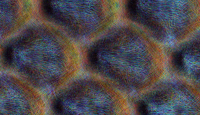 Honorable Mention - Dr. Grigorii Timin And Dr. Michel Milinkovitch