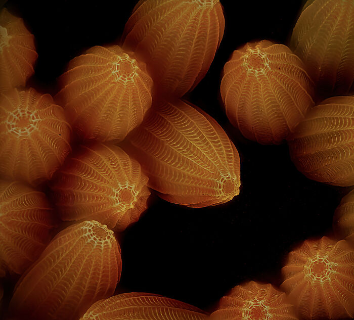 Image Of Distinction - John-Oliver Dum