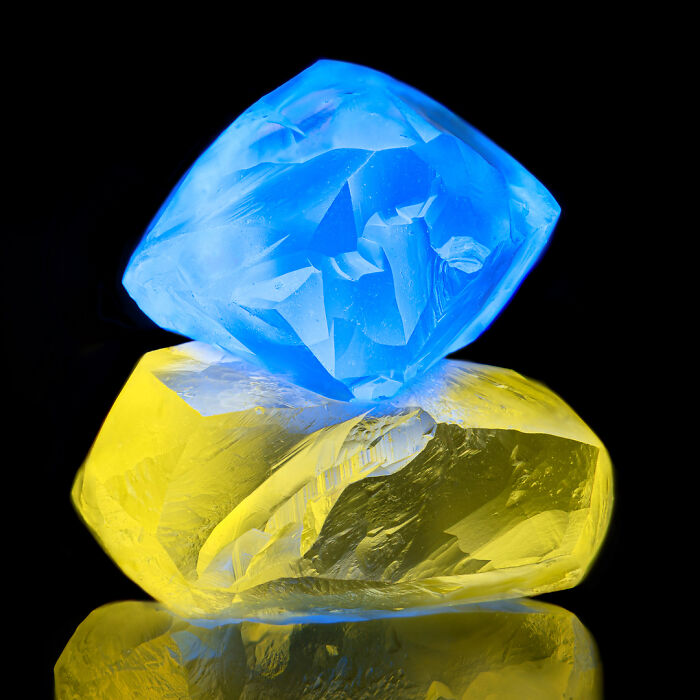 Image Of Distinction - Don Komarechka