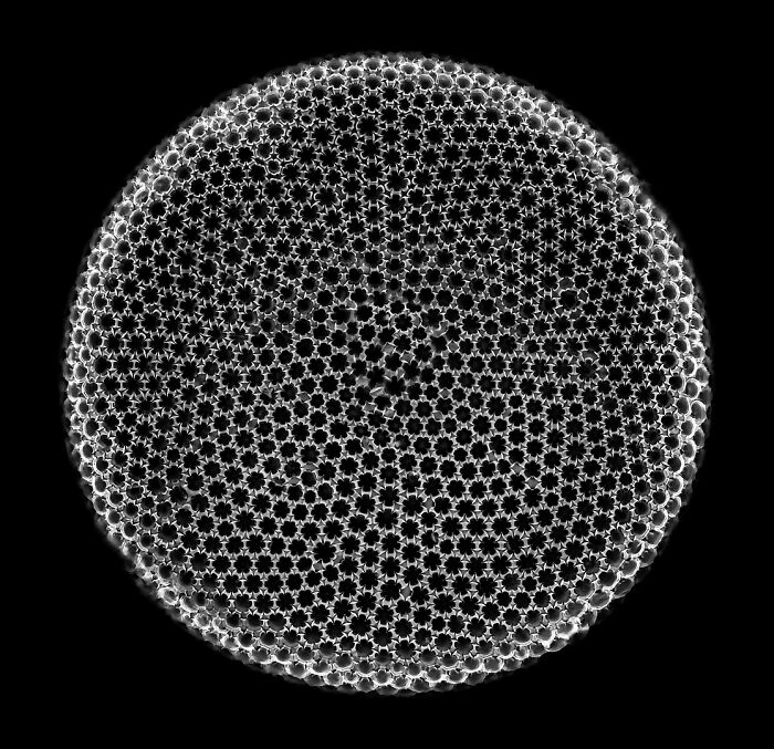 Image Of Distinction - Michael Landgrebe