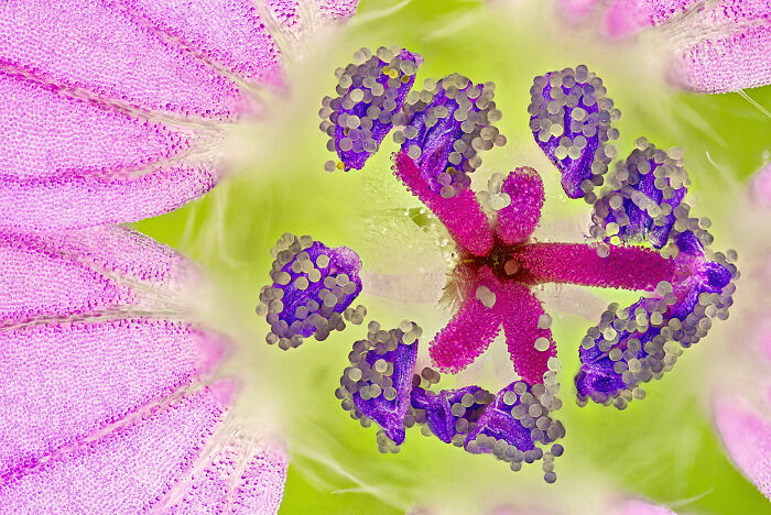 Image Of Distinction - Sébastien Malo