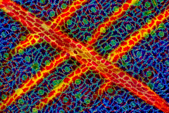 Image Of Distinction - Marek Miś