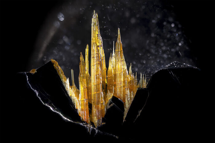 Image Of Distinction - Danny J. Sanchez