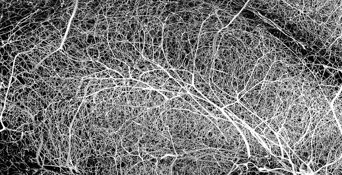 Image Of Distinction - Stephen Vidman And Dr. Andrea Tedeschi