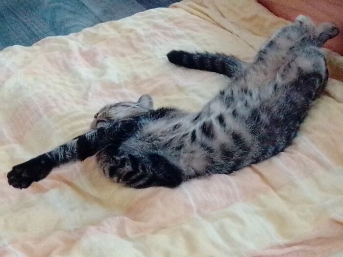 Comfort Looks Like That