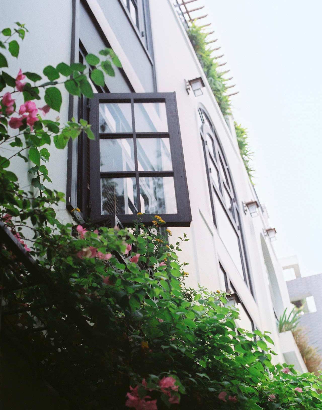 House exterior with open window and bush with pink flowers