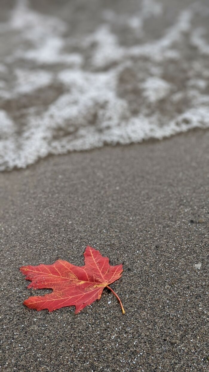 Near The Lakeside - Toronto , Canada