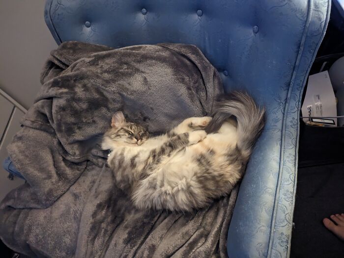 My Lil' Shrimp. Her Name Is Nube Which Means Cloud