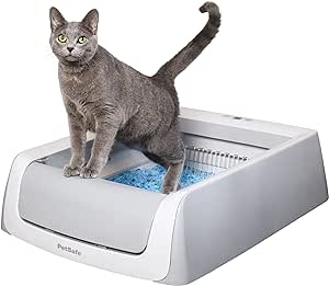 Gray cat standing on an automatic litter box, demonstrating a pet-friendly solution to keep dogs out.