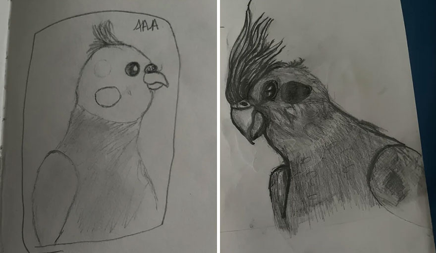 I Was Feeling Down About My Lack Of Skill, Then I Looked Back