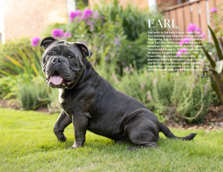 Mister September, Earl