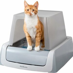 Cat sitting on an enclosed litter box to keep dogs out.