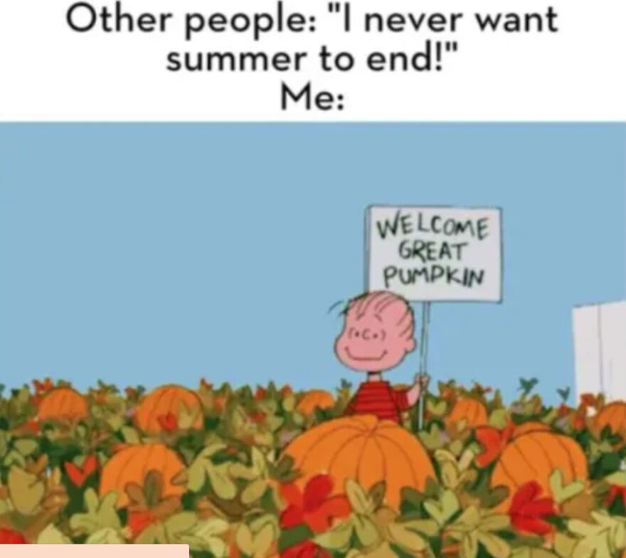 Fall Memes