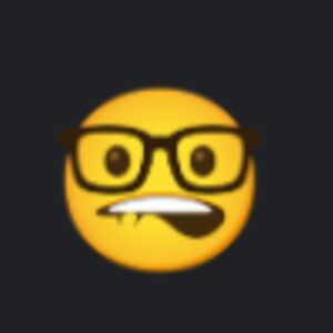 lillianbodammer avatar