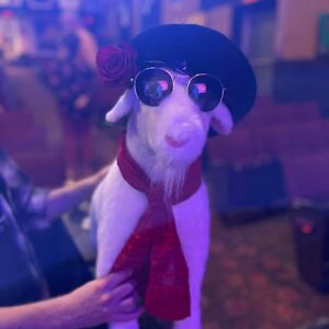 windofstorm471 avatar