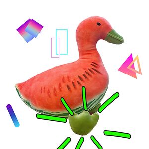 rachaelhutchins28 avatar