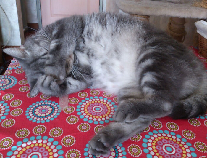 Casey Always Covered His Eyes When Sleeping