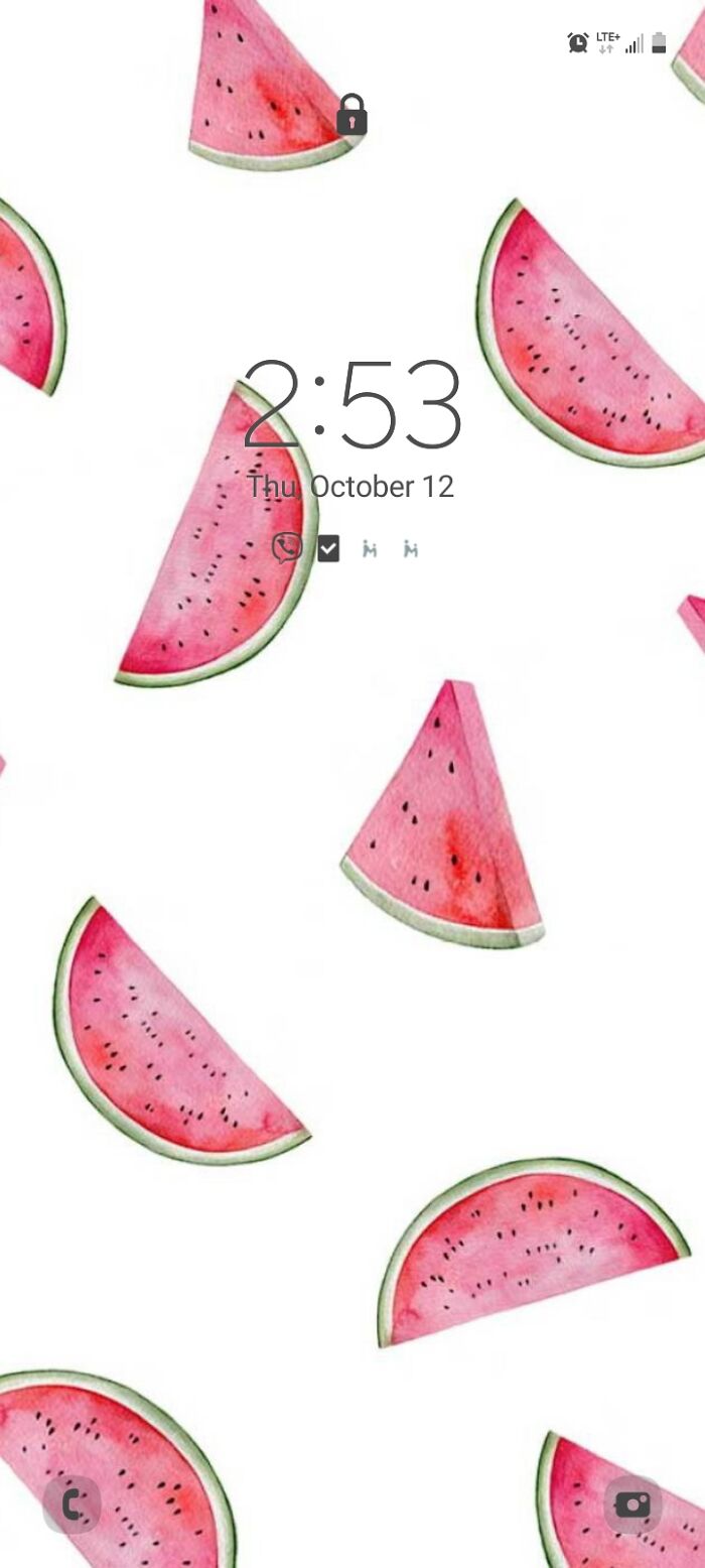 The Watermelons Because Harry Styles 🤌