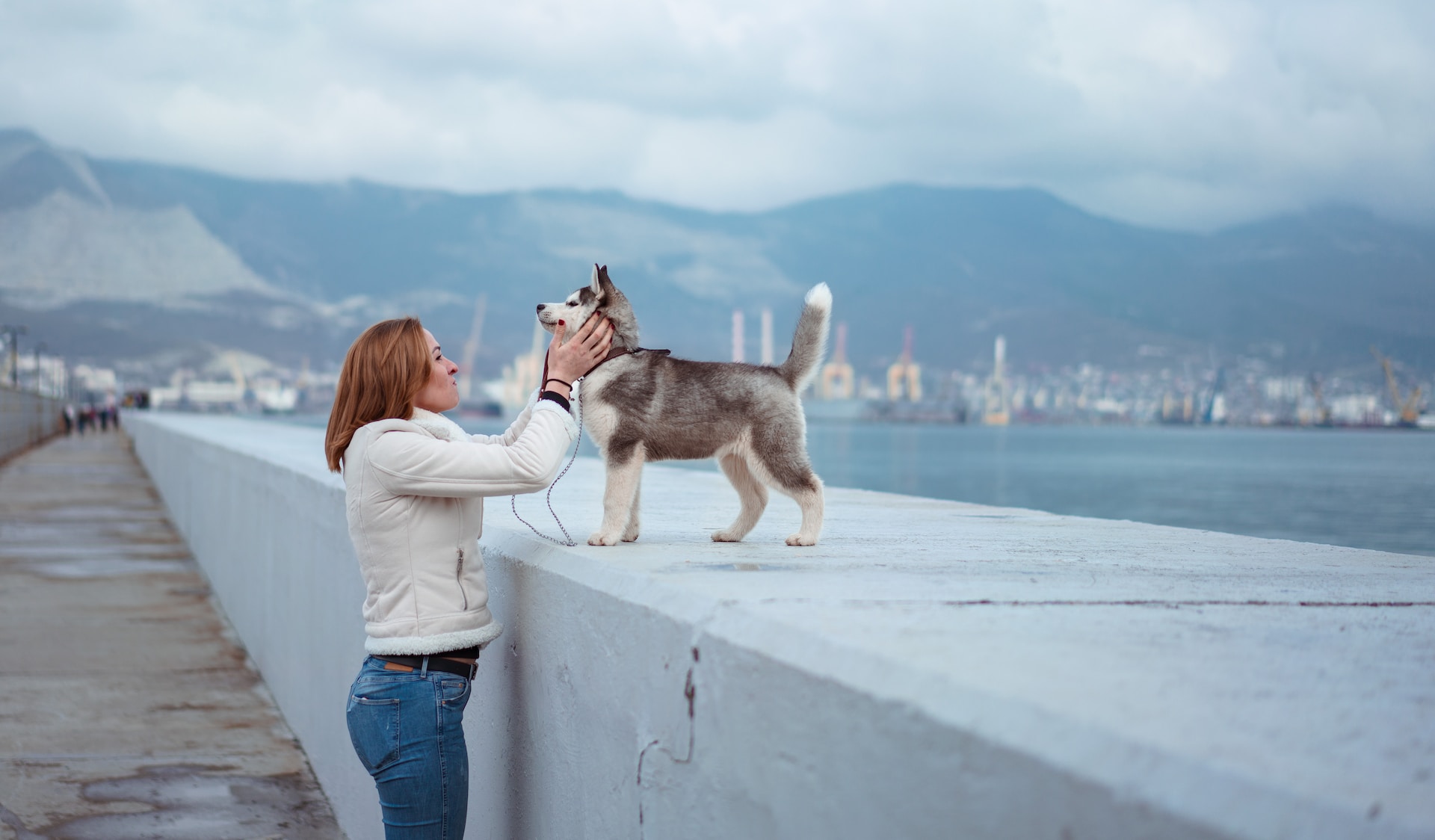 a woman petting a Siberian Husky a woman petting a Siberian Husky