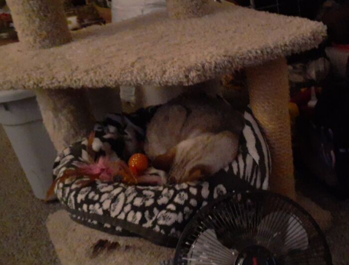 Henry Doesn't Like To Share