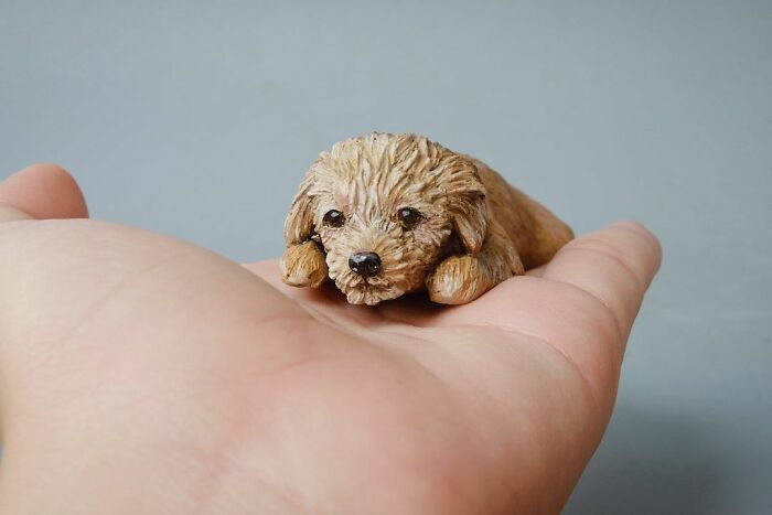 My Collection Of Dog And Cat Sculptures That I Made From Polymer Clay (30 Pics)