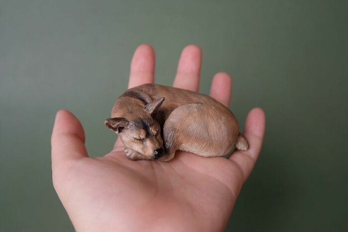 My Collection Of Dog And Cat Sculptures That I Made From Polymer Clay (30 Pics)