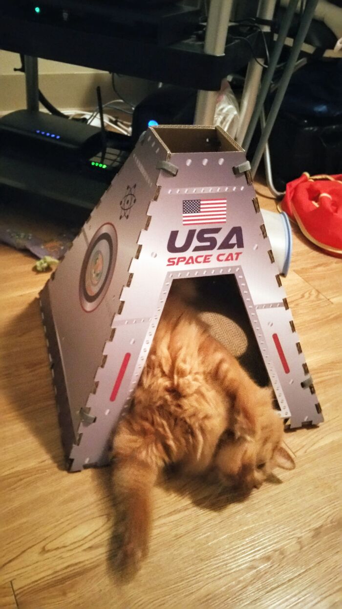 Space Renni Has Landed!