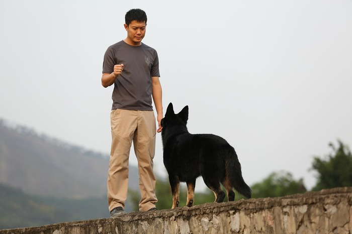 Man training dog near a fence to prevent digging.