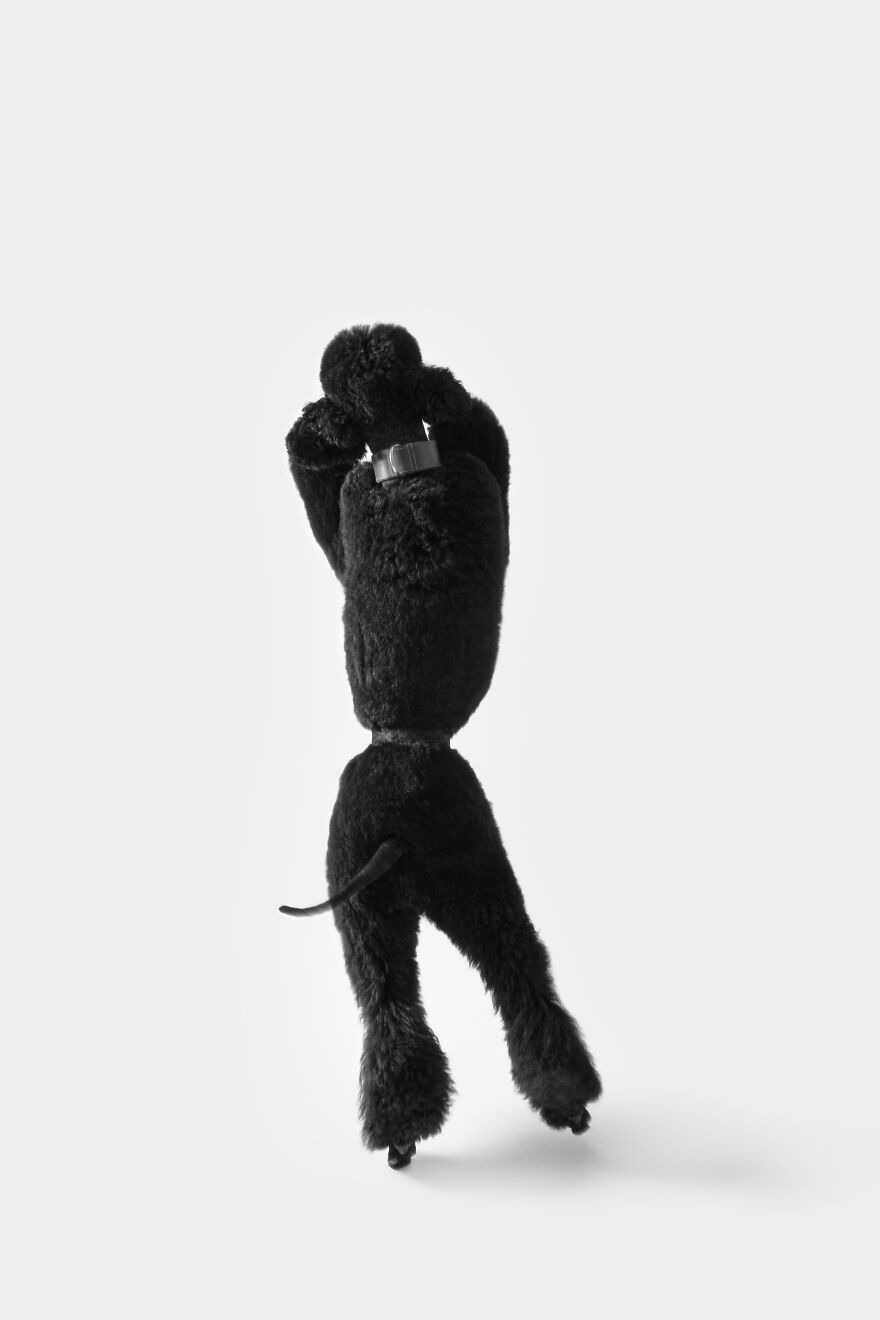 2nd Place, Studio: "Let's Dance!" By Carla Gea Perales