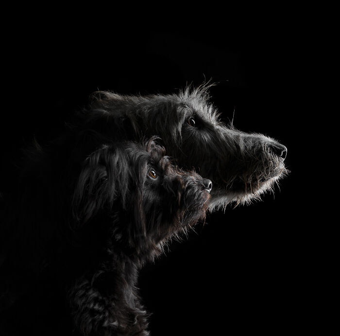 Finalist, Studio: "Wired Hair" By Chloé Brown