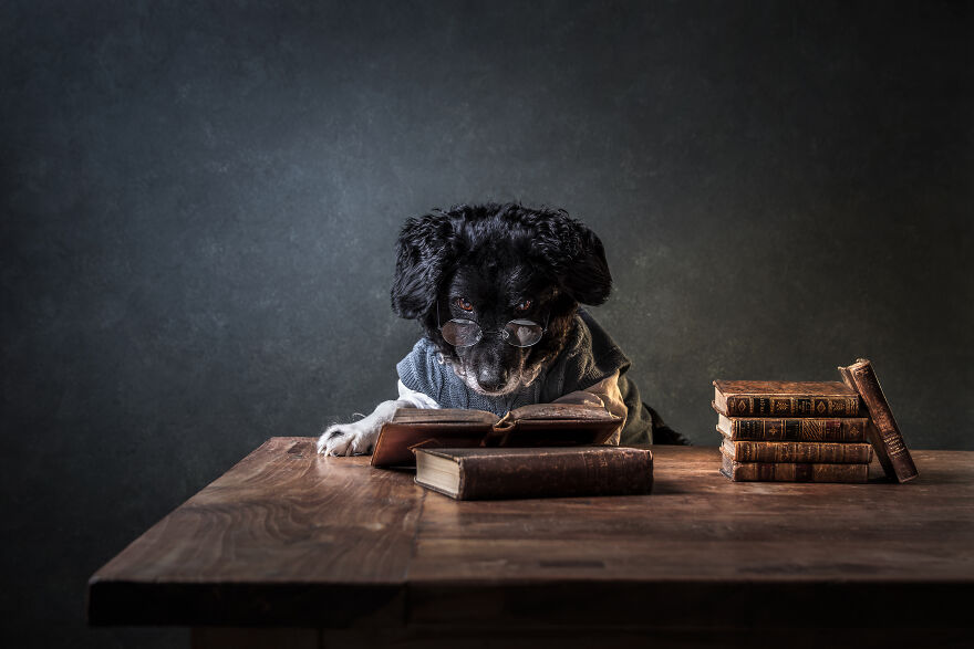 Finalist, Studio: "The Librarian" By Sandy Van Kruijsdijk