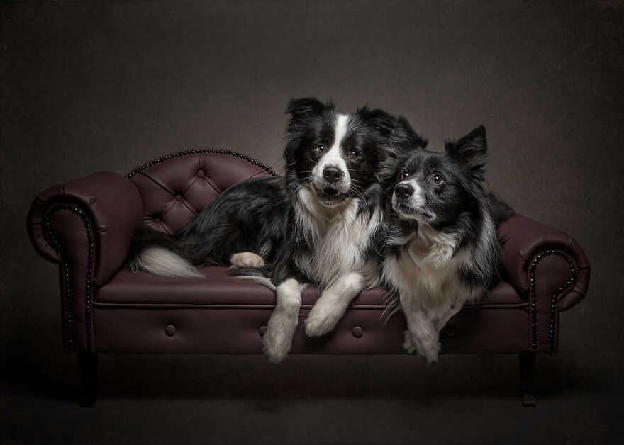 Finalist, Studio: "Best Friends" By Klaus-Peter Selzer