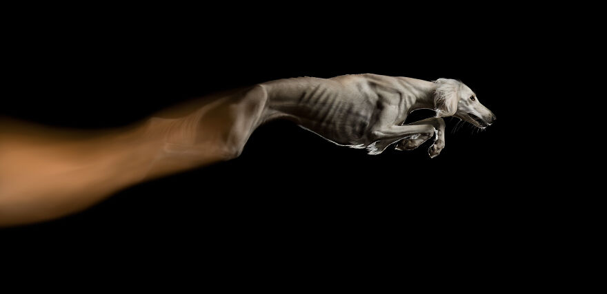 1st Place, Action: "Stop Your Motion" By Jacqueline Rüdiger