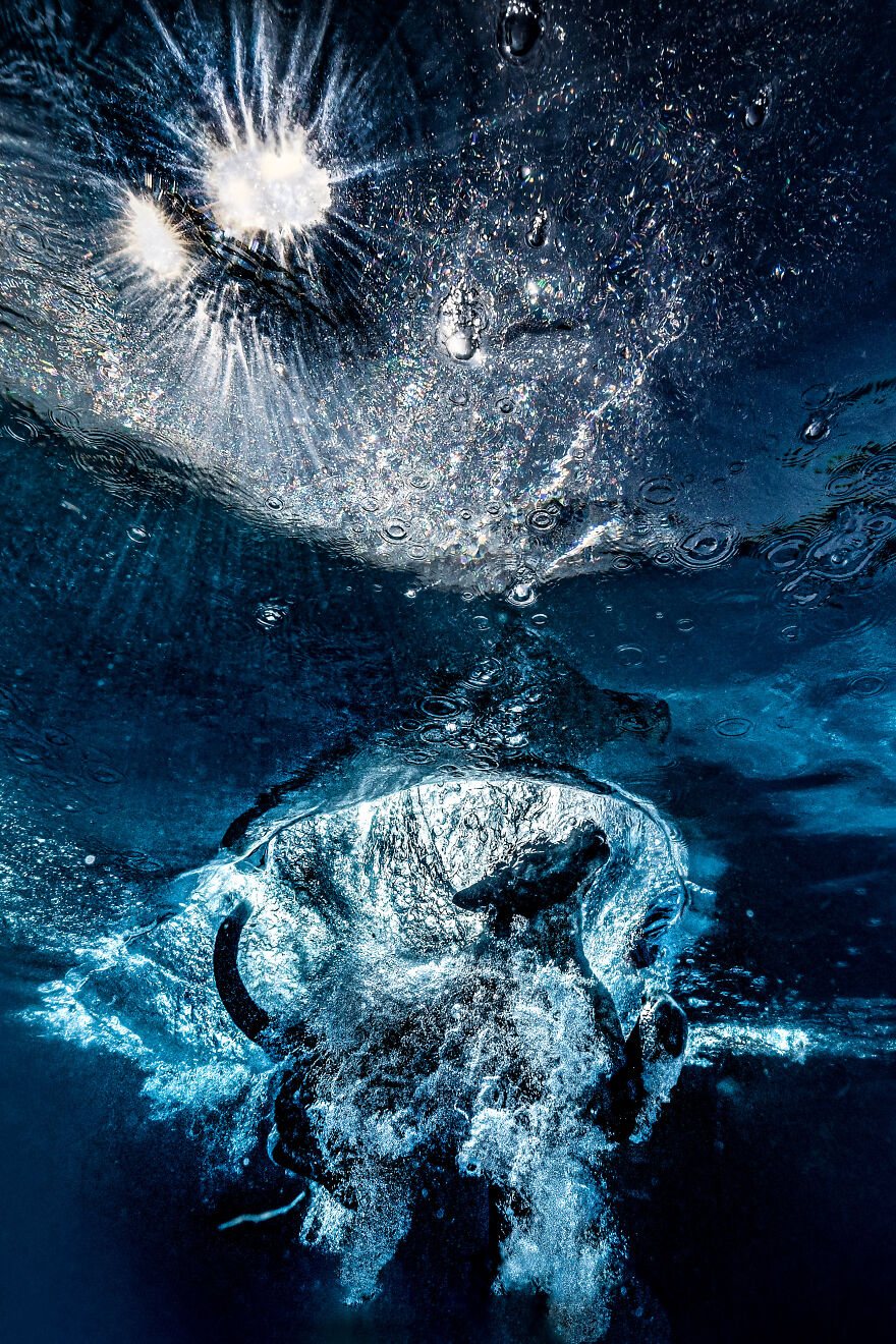 2nd Place, Action: "Moment Of Entry" By Roberta Holden