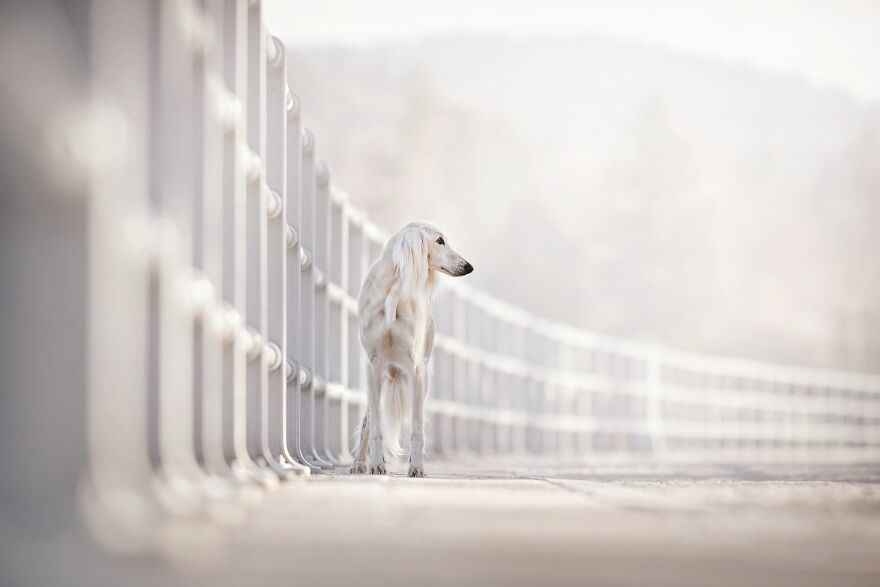 Finalist, Portrait And Landscape: "Power Of Tenderness" By Denisa Zbranková Albaniová