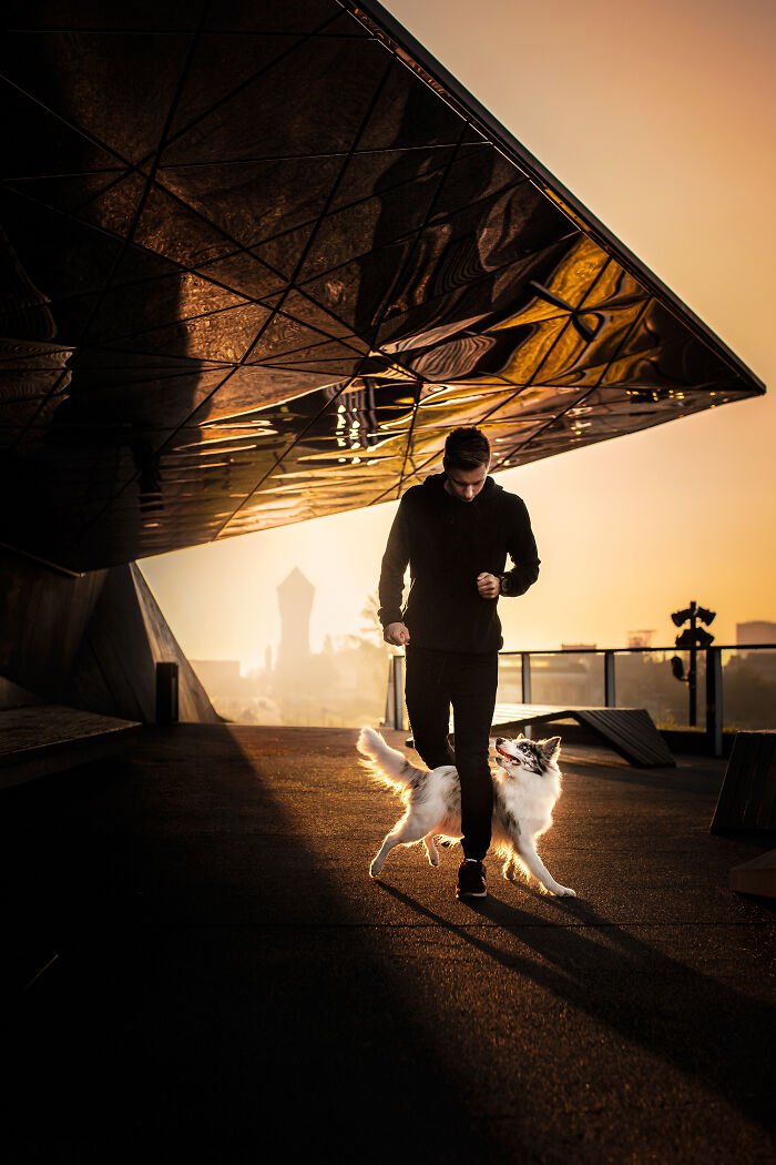 Dog doing trick with his butler