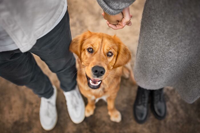 A couple with their dog between them