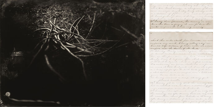 I Retraced Oregon's Trail Of Tears And Photographed It With The Same Process Used In The 1850's