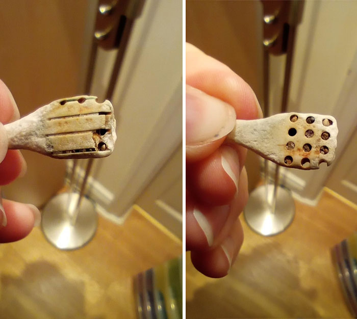 What Is This Object I Found On A Beach In Yorkshire? It Has Holes In And Feels Like A Mix Between Stone And Plastic