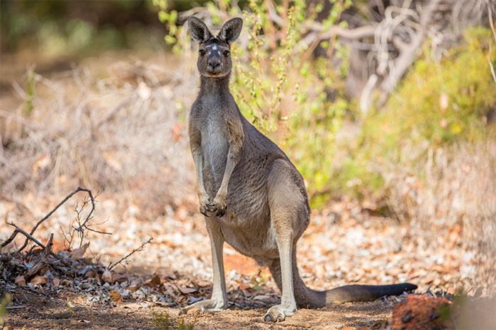 “What’s Something That’s Happened To You That Sounds Fake But Unfortunately Isn’t?” (50 Answers)