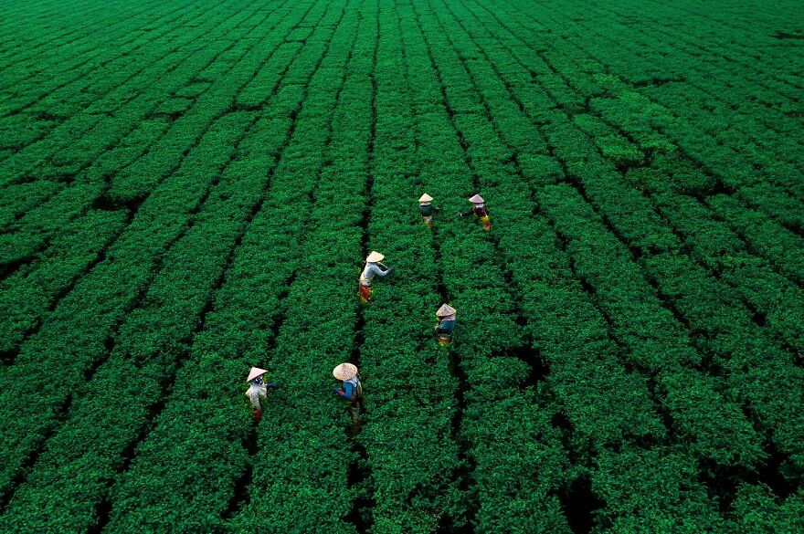 Vietnam Wonderfully Seen From Above Through The Lens Of Khánh Phan