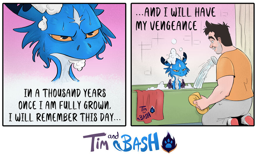 Dragons Have A Long Memory