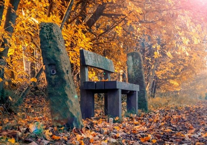 Autumn My Favourite Season